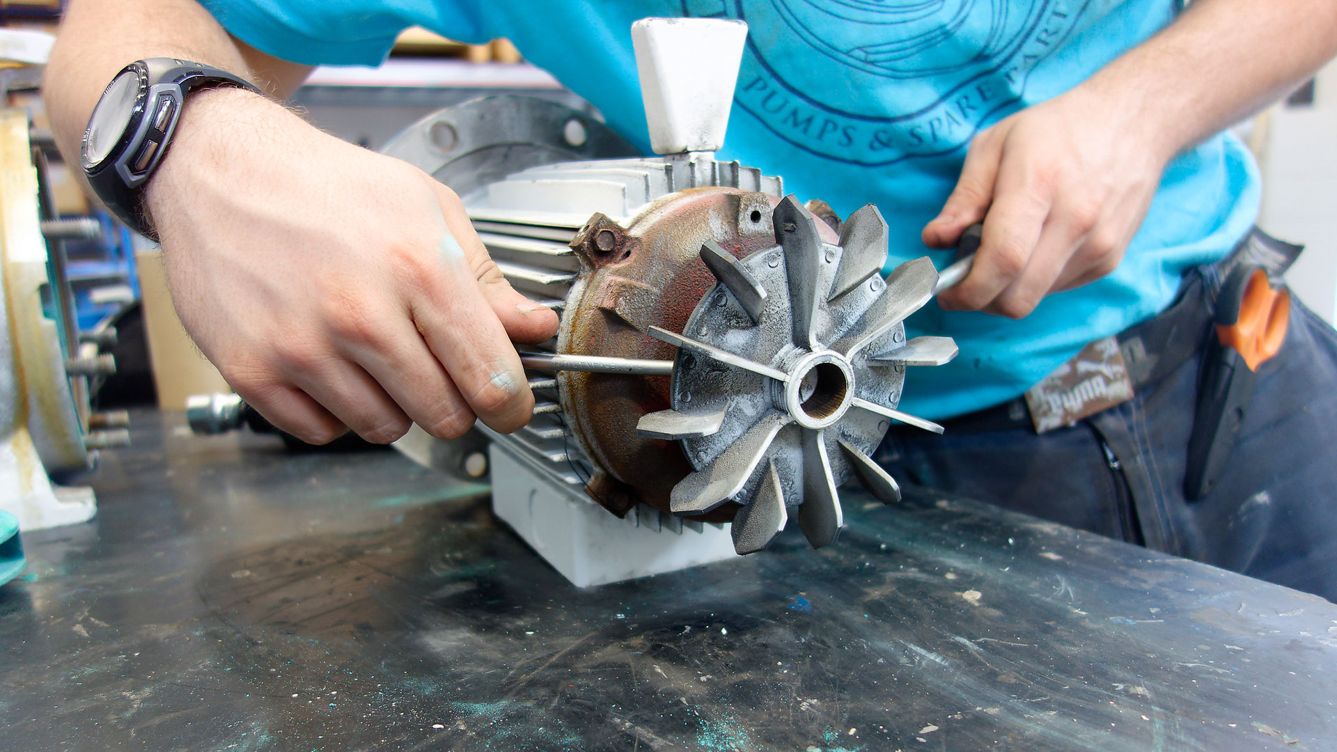 smontaggio motore elettrico_M_DxO